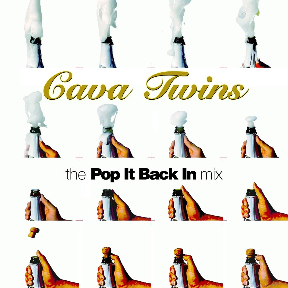 Cava Twins - Pop It Back In cover